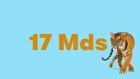 chiffre 17 mds et un tigre sur fond bleu