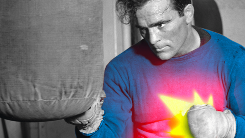 HEADER_BOXE_DEF_sanstxt