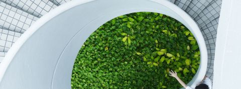 danist-soh-n-3Pn7Ybe-s-unsplash danist-soh-n-3Pn7Ybe-s-unsplash