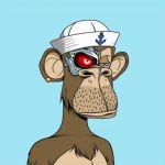 3 singes de la collection Bored Ape