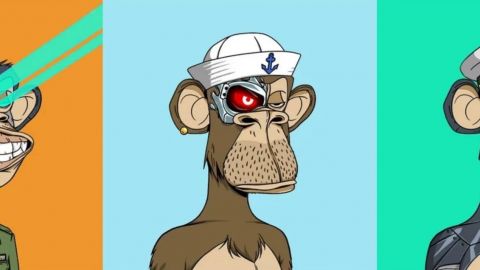 3 singes de la collection Bored Ape