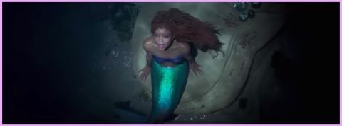 Ma vie de sirène m'apprend à aimer la nature Une sirène dans la mer