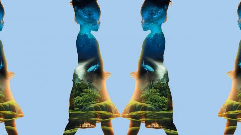 Université de la Terre