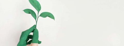 Alena-Koval Alena-Koval