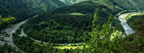 Branislav-Knappek Branislav-Knappek