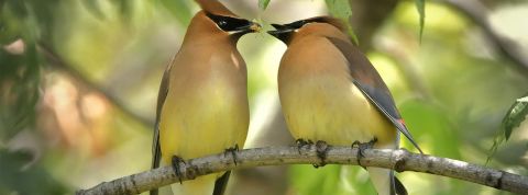 Gary-Bendig Gary-Bendig