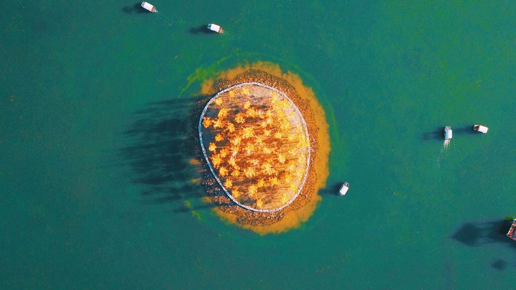 Jimmy-Chang Jimmy-Chang