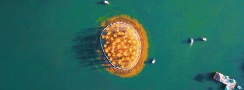 Jimmy-Chang Jimmy-Chang