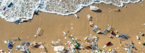 Mario-De-Moya-F Mario-De-Moya-F