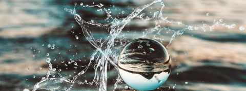 Oleg-Magni Oleg-Magni