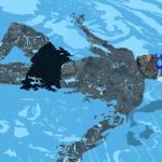 homme dans une piscine