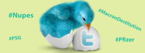 Août 2022 : quels ont-été les hashtags les plus partagés sur Twitter ? Oiseau bleu