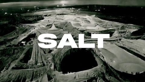 Affiche SALT