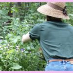 Une femme de dos en train de jardiner