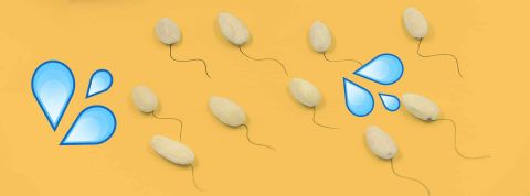 Une tiktokeuse crée le buzz avec ses bijoux à base de sperme Spermatozoides