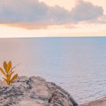 Homme de dos devant la mer