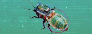 Cafard cyborg