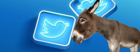 mule Une mule sur fond twitter