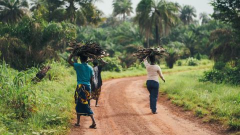 Femmes africaines portant du bois