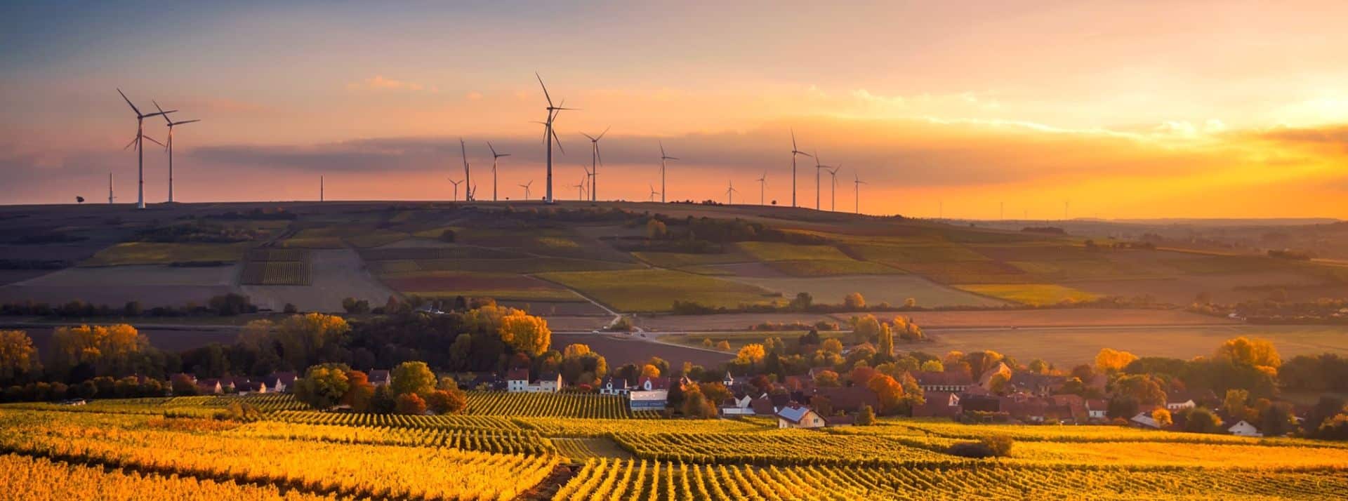 LinkedIn France dévoile les Top Voices environnement de sa plateforme : une liste de 10 professionnels qui partagent leur expertise sur les enjeux environnementaux. - L'ADN Paysage au coucher du soleil