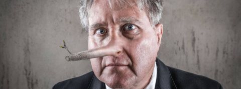 Industrie du fake : les consommateurs veulent plus d'encadrement Un homme d'affaires avec le nez de Pinocchio