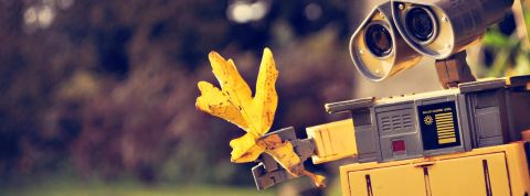 Transition écologique : « La naïveté serait de ne pas bouger » Wall-E tient une feuille d'automne