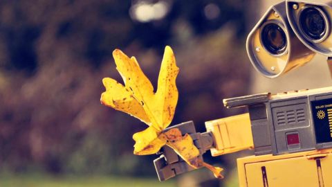 Wall-E tient une feuille d'automne
