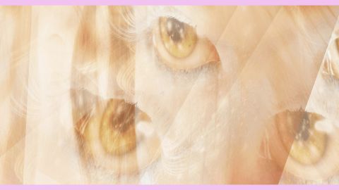 Des yeux sur fond jaune