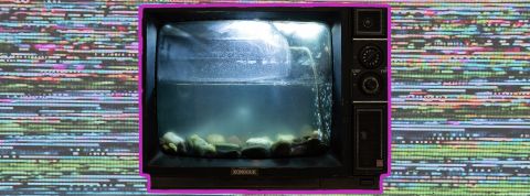 La fin de la télé dans 3 ans TV aquarium