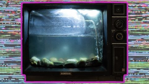 TV aquarium