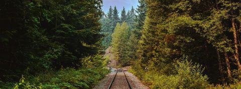 chemin-fer-forêt