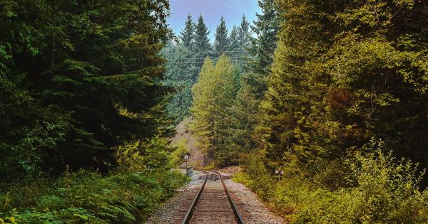 François Gemenne : « C'est au niveau des entreprises que se font les transformations radicales »