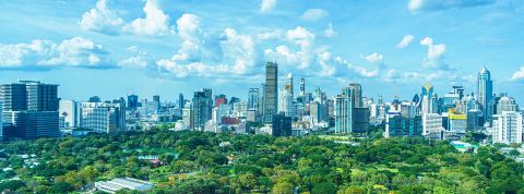 lifeforstock(1) lifeforstock(1)