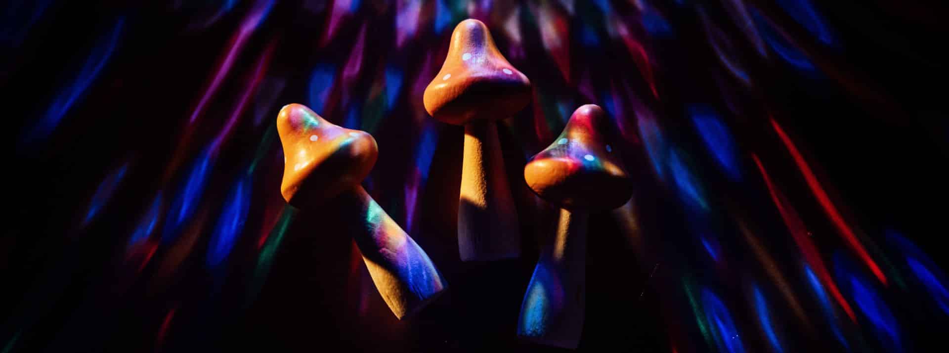 MDAM, champignons hallucinogènes: l’Australie ouvre la voie aux thérapies psychédéliques - L'ADN champignons hallucinogènes