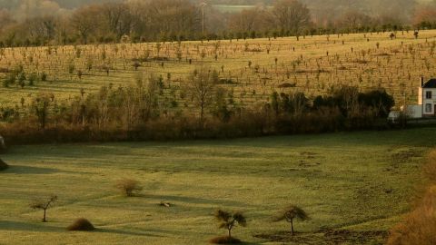 51165706139_957a79bf37_k-2