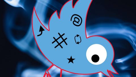 l'oiseau de Twitter mal au point