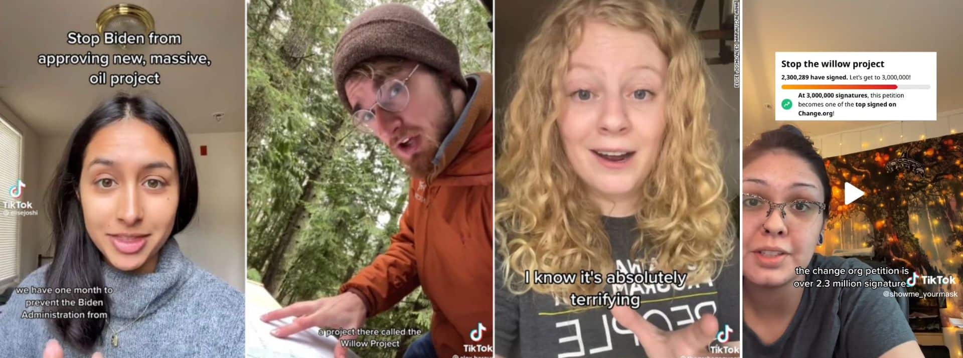 Le hashtag StopWillow prend d'assaut TikTok - L'ADN Captures de videos TikTok