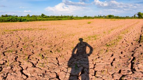 La terre qui est stérile et fissurée et les rayons du soleil dans la soirée