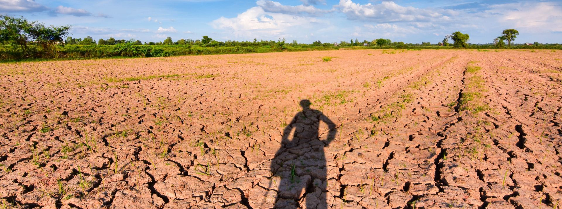 Le monde est confronté à une crise imminente de l'eau et d'ici la fin de cette décennie, la demande devrait dépasser l'approvisionnement en eau douce de 40 % - L'ADN La terre qui est stérile et fissurée et les rayons du soleil dans la soirée