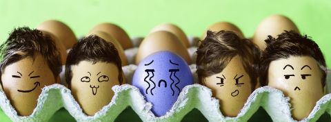 Le rôle moteur des entreprises, aux côtés des citoyens et des pouvoirs publics Boite d'oeufs