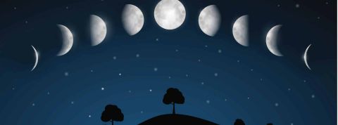 La phase de la lune peut-elle vous aider à trouver votre âme sœur sur TikTok ? Désolé mais non Illustration : Phases de la lune au dessus d'une forêt