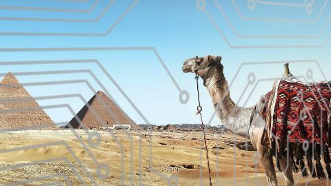 Pyramides d'Égypte et chameau avec lignes numériques