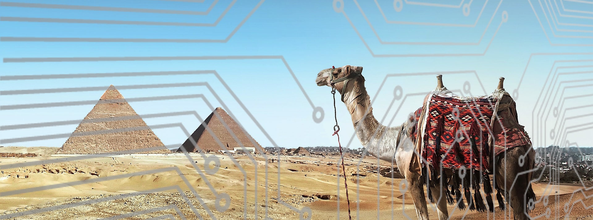 Pyramides d'Égypte et chameau avec lignes numériques