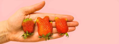 Avec la hausse des prix, le bio a-t-il perdu le coeur des consommateurs ? 3 fraises dans main sur fond rose