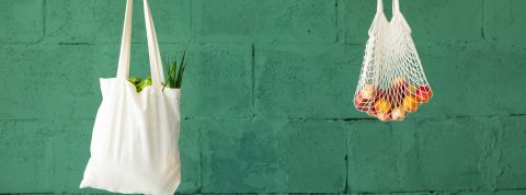 La sobriété désirable, c’est maintenant ? La sobriété désirable, c’est maintenant ?