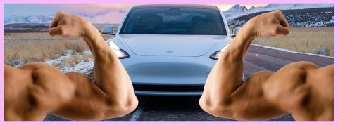Qui sont les Tesla Boys ?  Une voiture et des bras musclés