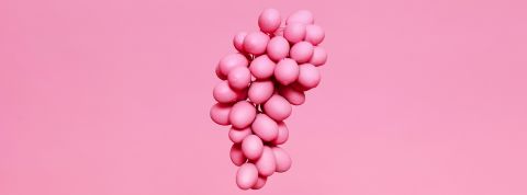 Les secrets de la viticulture régénératrice Raisin rose sur fond rose
