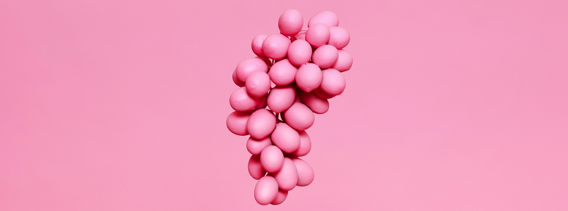 Les secrets de la viticulture régénératrice Raisin rose sur fond rose