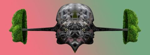 Les banques européennes figurent parmi les principaux moteurs de l’expansion fossile Visuel représentant un visage avec des sympboles de pollution, ayant un long nez type pinocchio au bout duquel est posé un masque fait de feuilles vertes