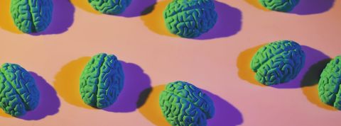 Après l’intelligence artificielle, voici l’intelligence organoïde à base de vrais neurones Représentation de cerveaux de coloris verts sur fond rose